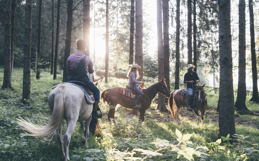 Jinetes cabalgando por el bosque de oyamel de Villa del Carbón